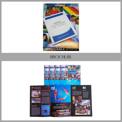 brochure