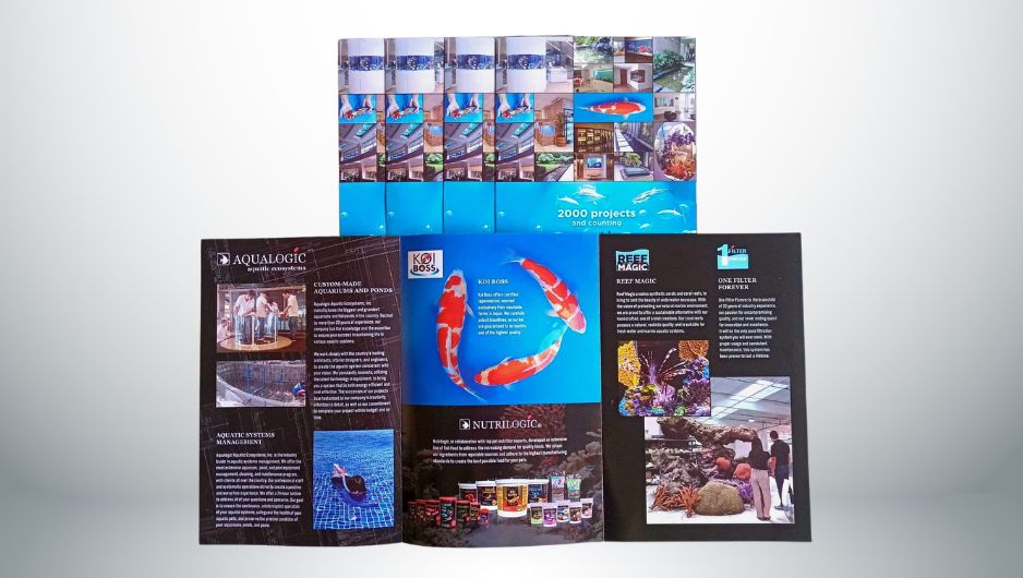 brochure